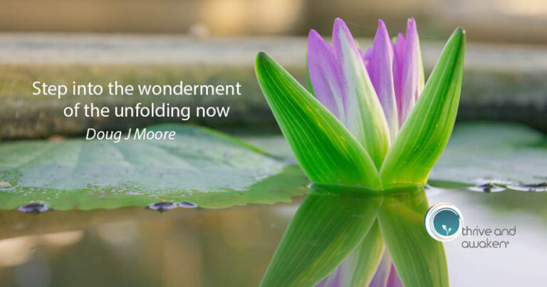 Flower emerging from pond with quote from Doug: Step into the wonderment of the unfolding now